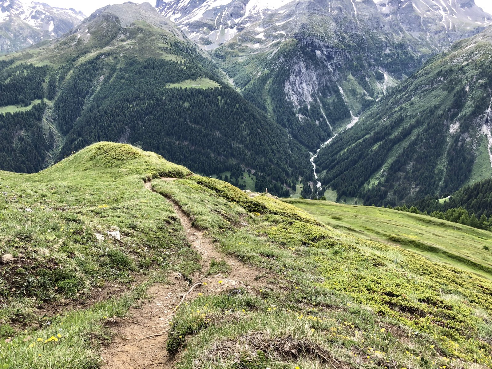 9025E96B-21AF-445E-9EFC-AD555572D747.jpeg