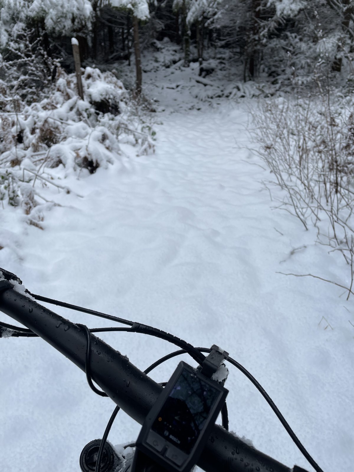 90872885-8F2C-4ADC-BE79-259EDB6CA466.jpeg