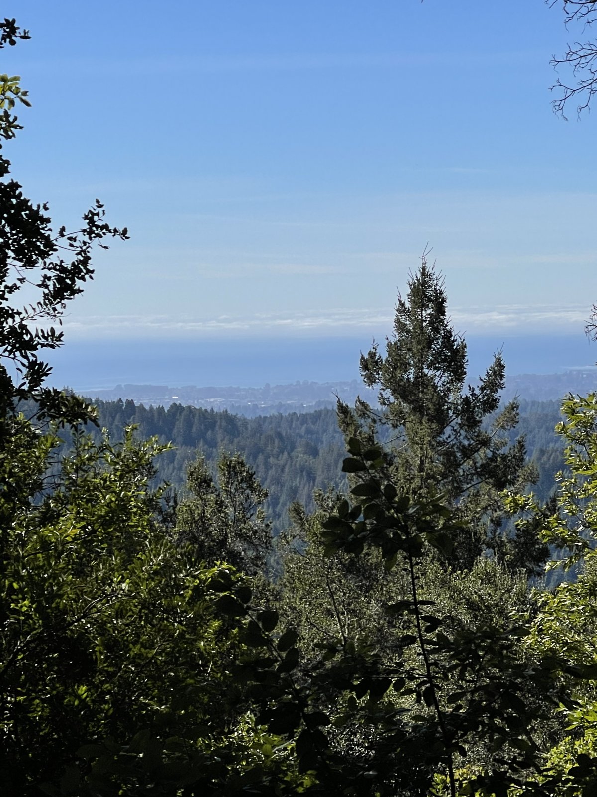 90AB6F6C-0232-4DEA-A6E2-056DF75BA324.jpeg