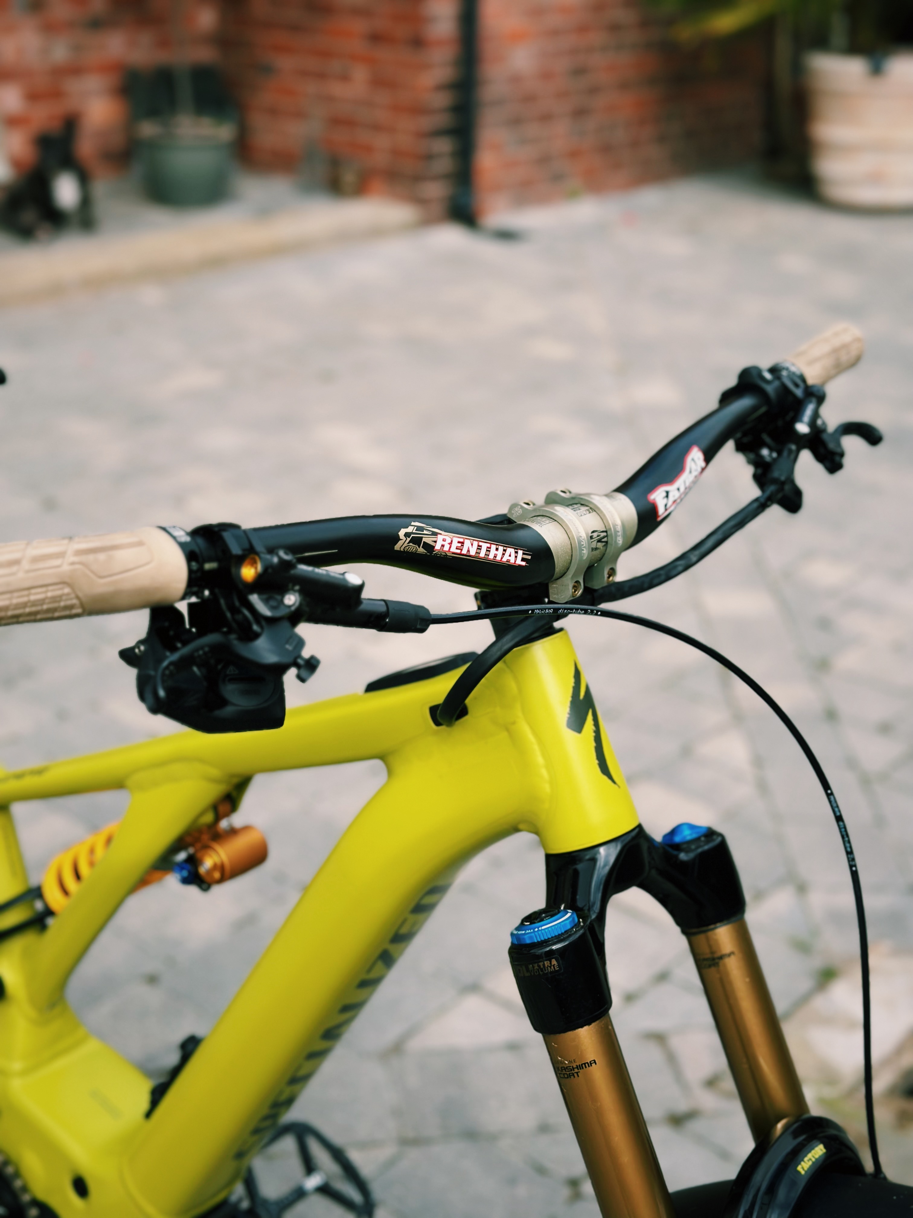 91996F64-1D50-4CBB-A280-294495548A2B.jpeg
