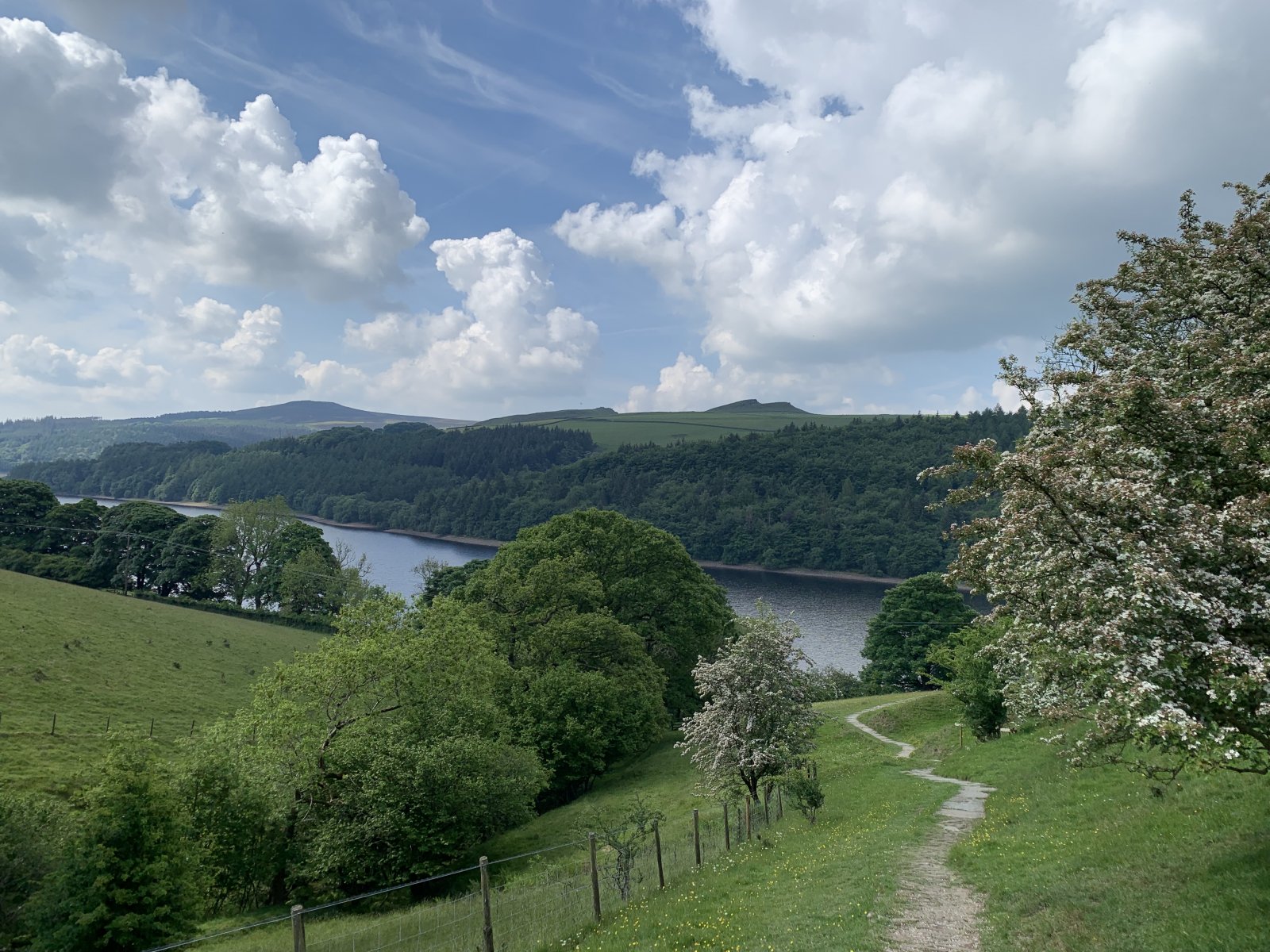 92AB7B0C-9D28-4114-B0C4-8E30226DE541.jpeg