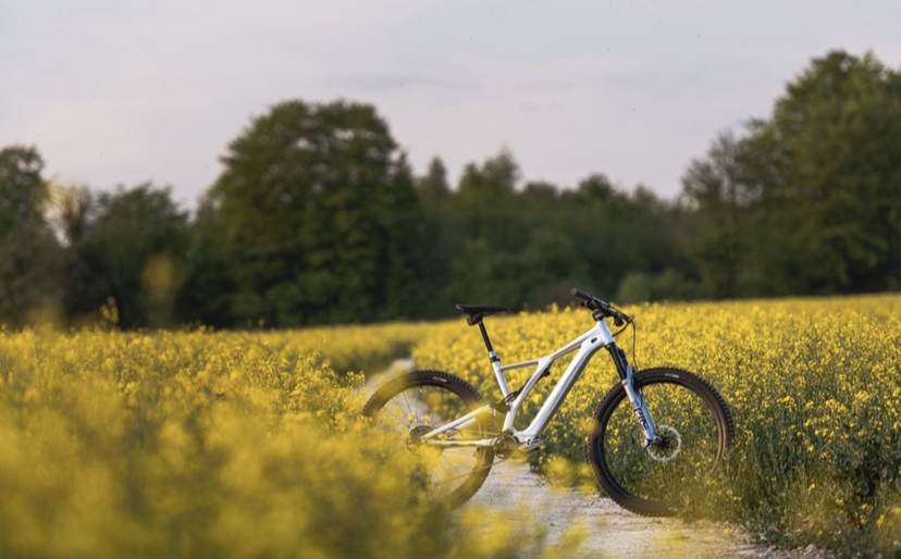 94490D55-91F5-4F97-8721-C208284CCC31.jpeg