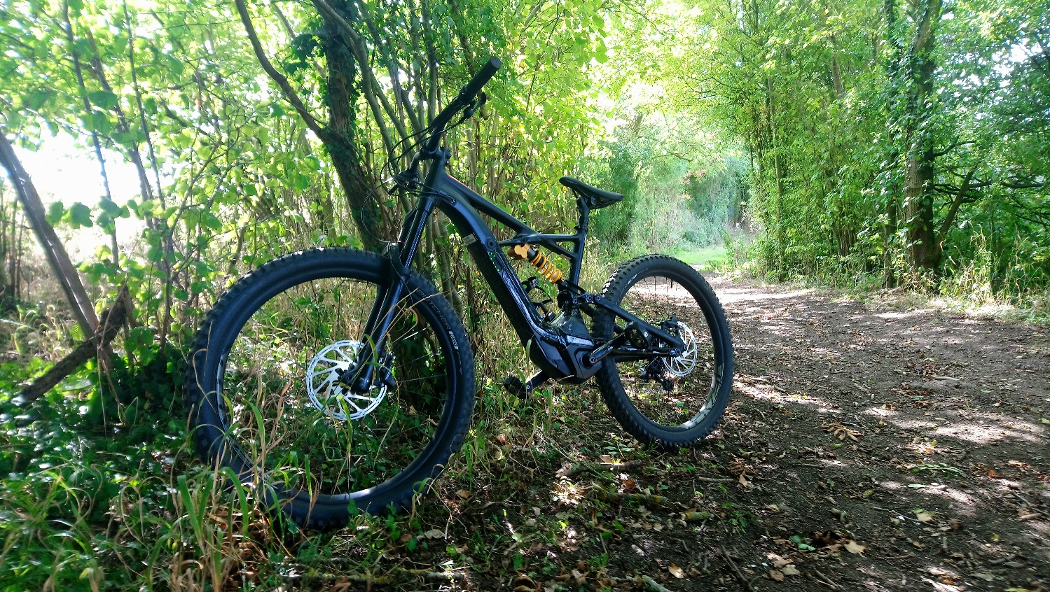 _20180916_094839.JPG