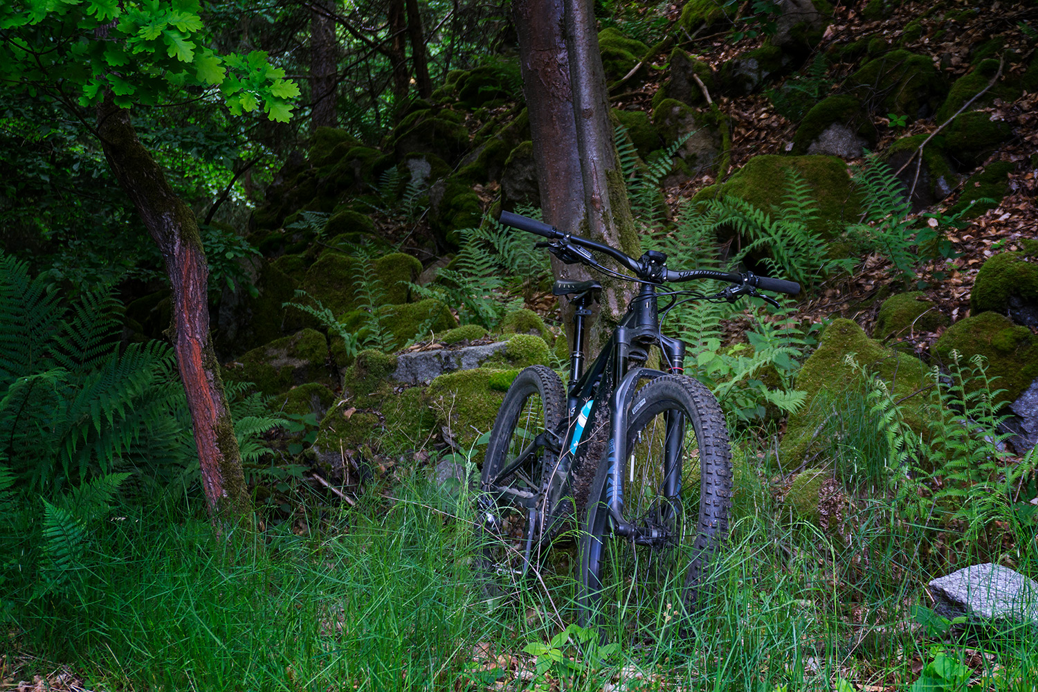_DSC7162.jpg
