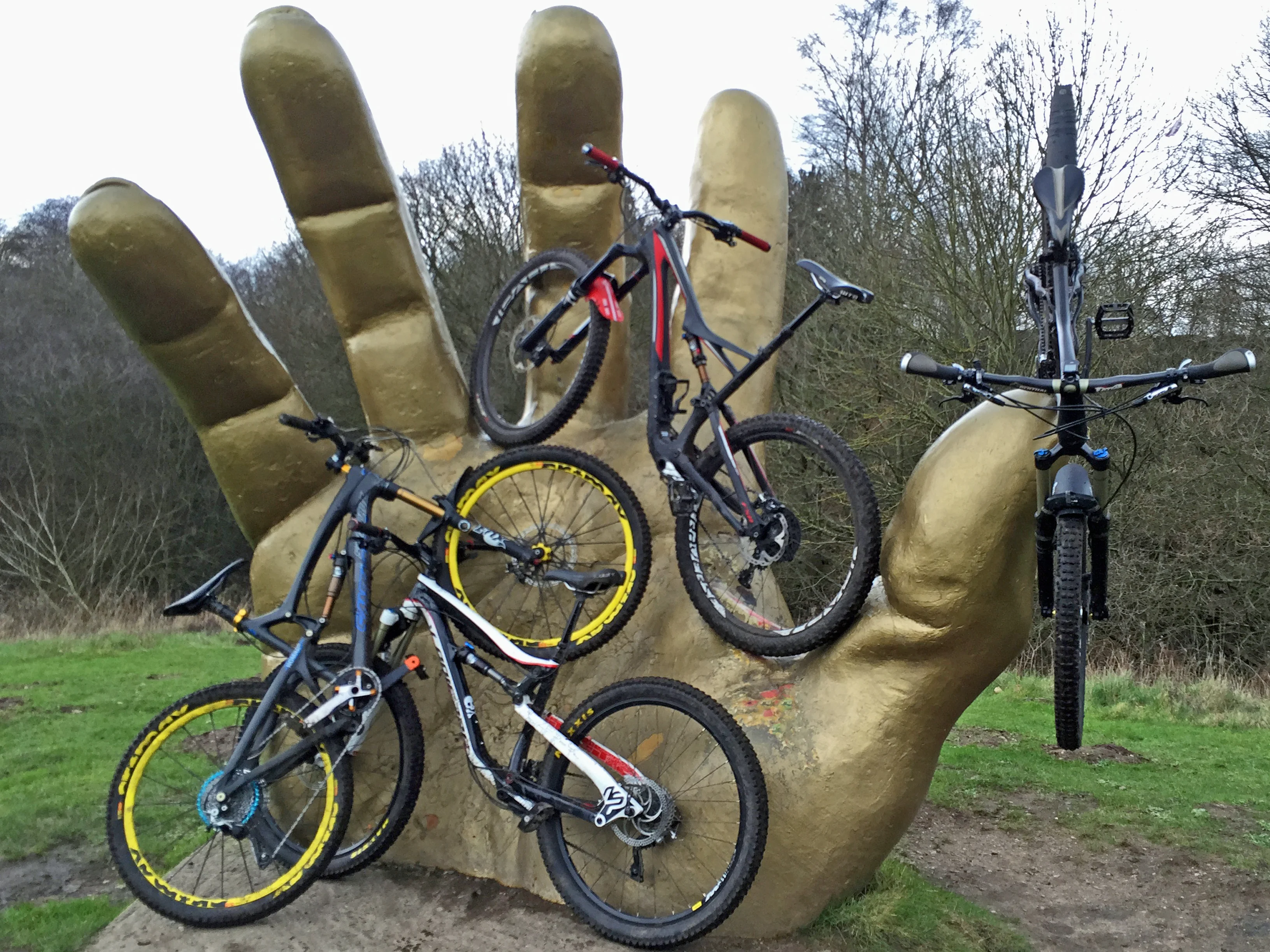 A handful of bikes.webp