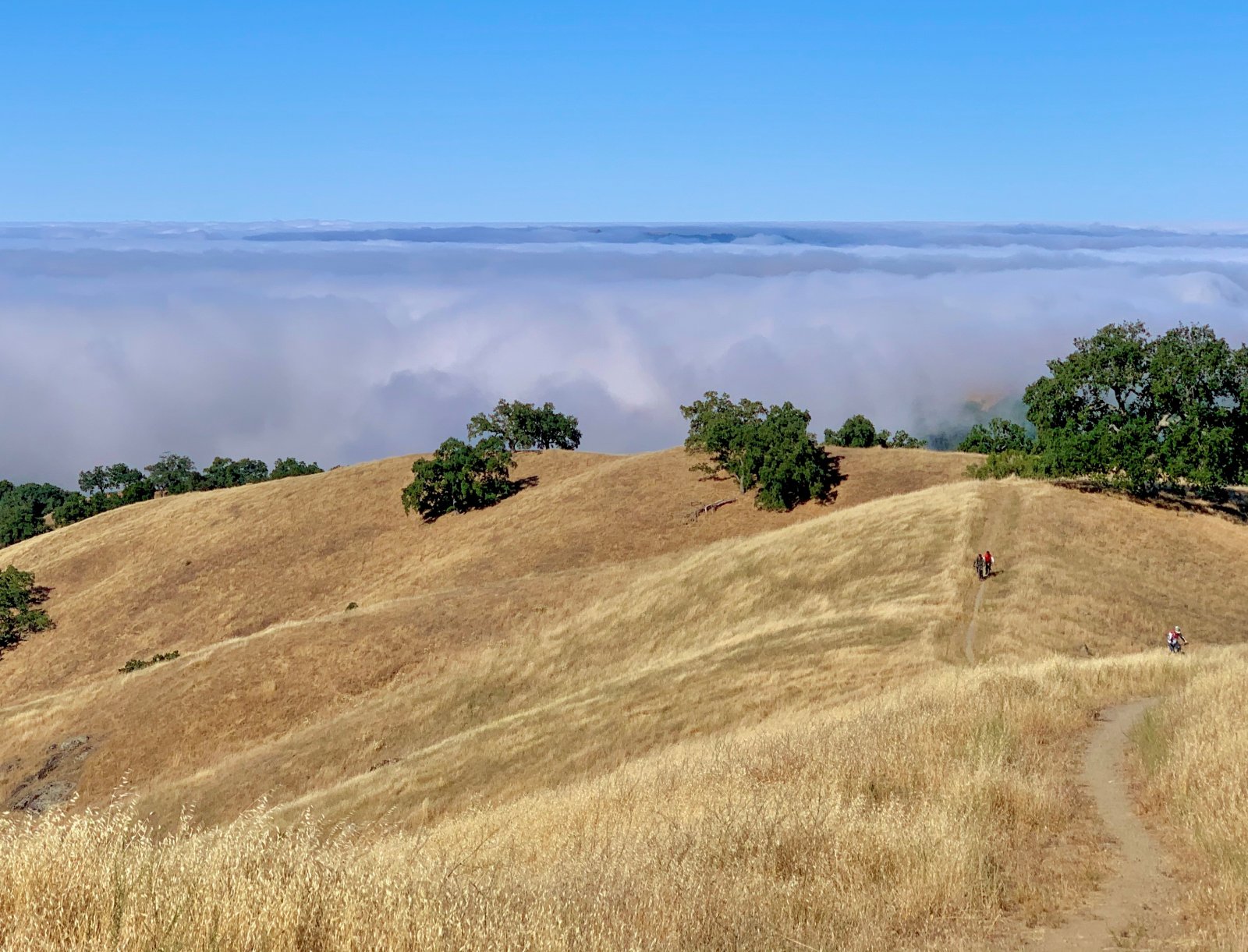 above the clouds.jpg