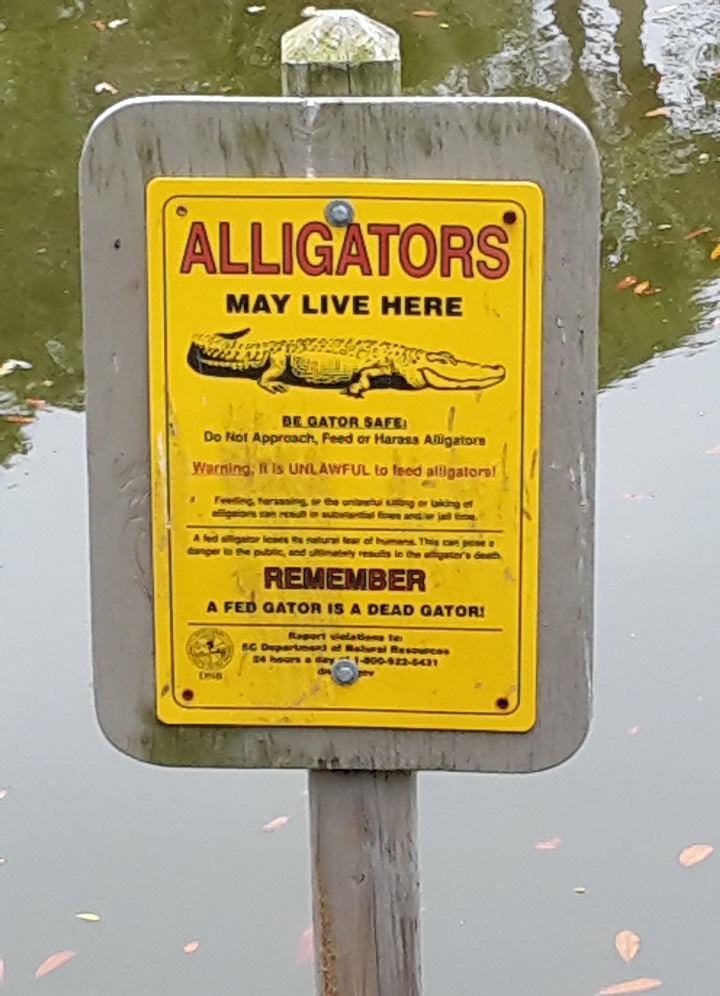 Alligators live here.jpg