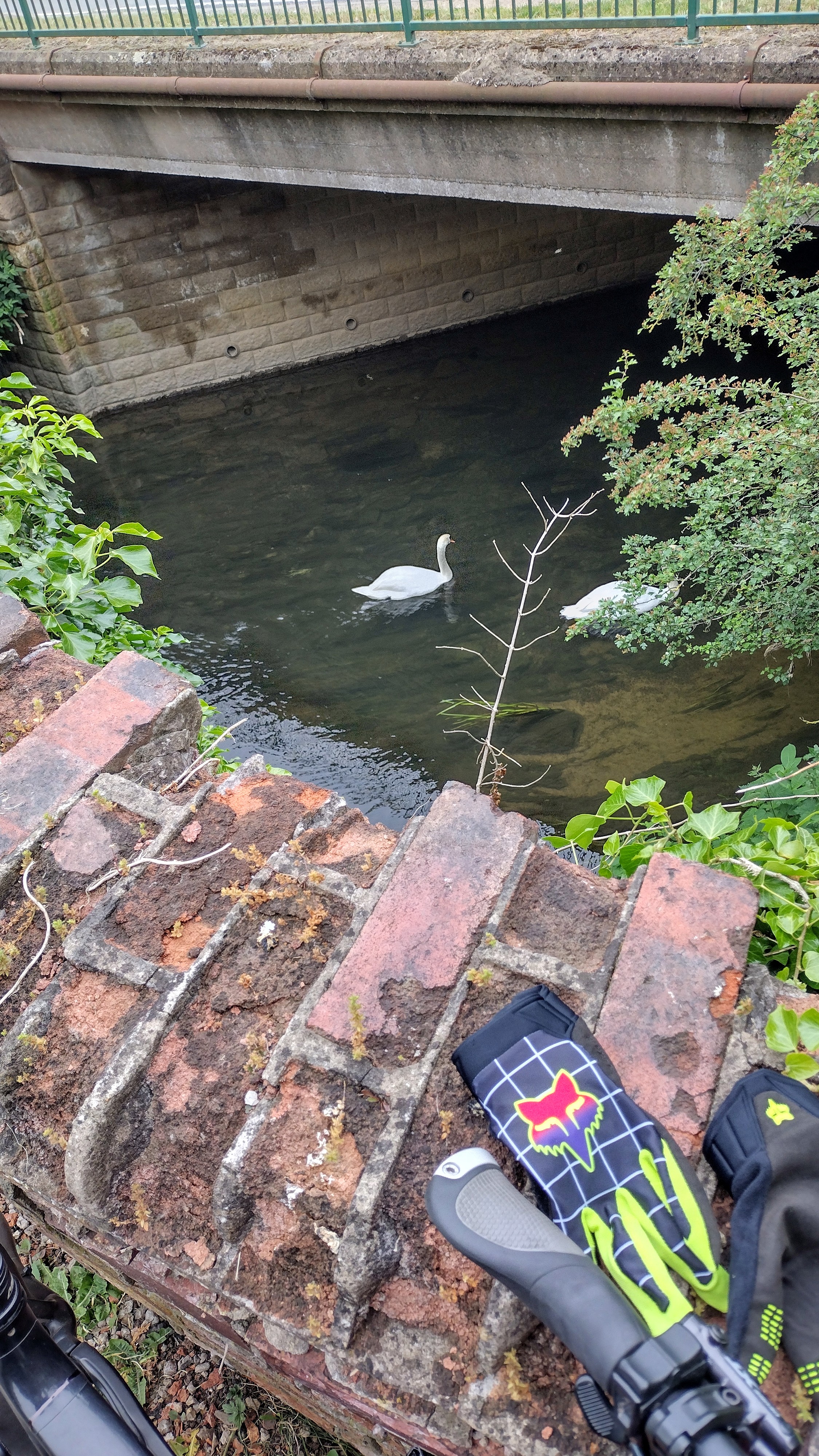 Allington new bridge.jpg