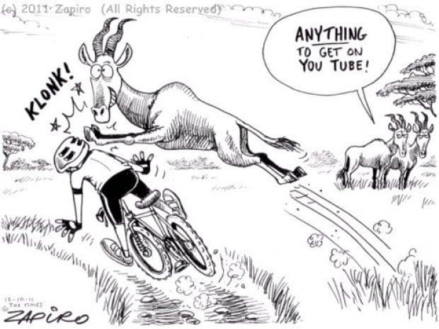 antelope.jpg