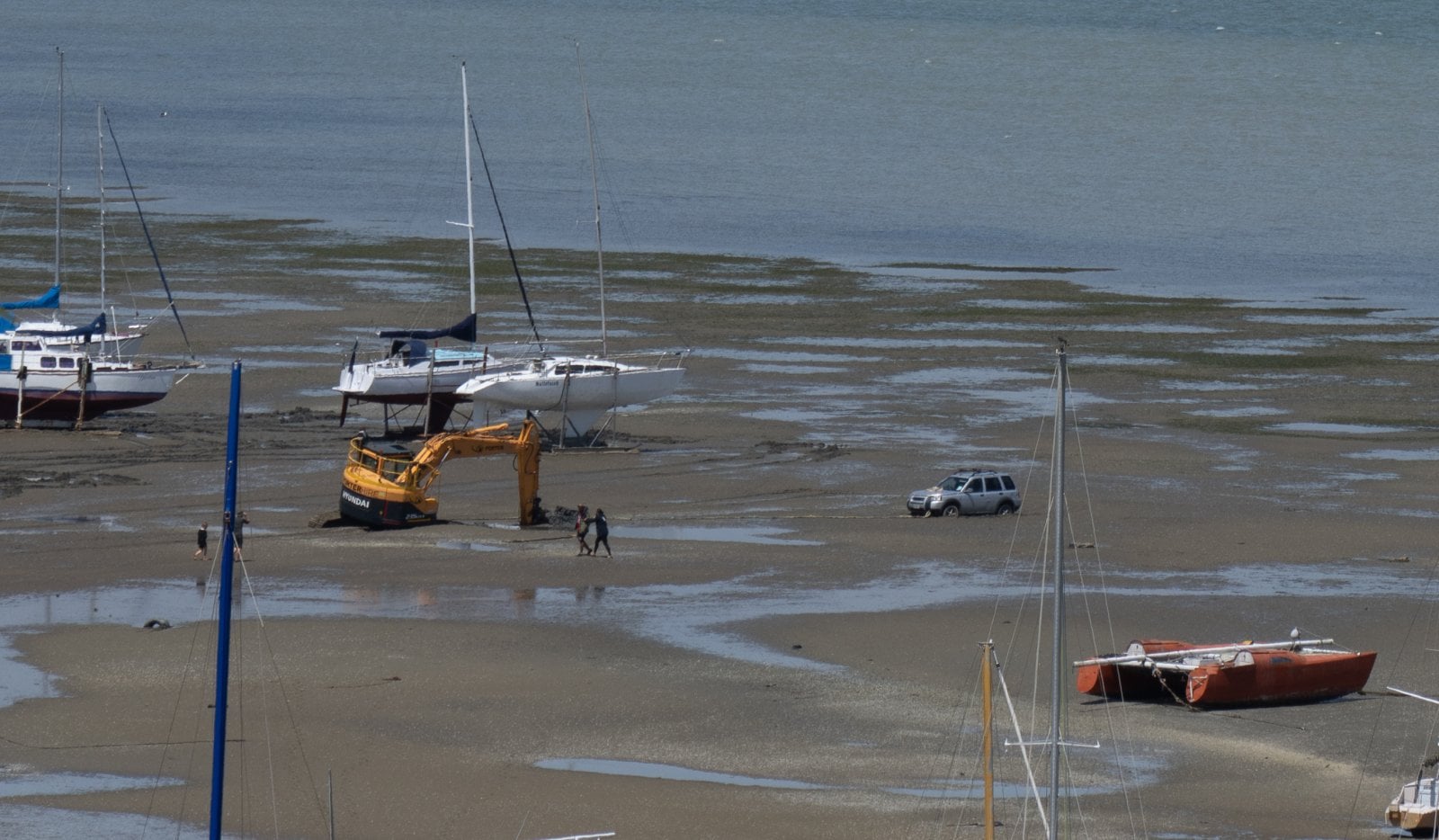 Auckland393-2.jpg