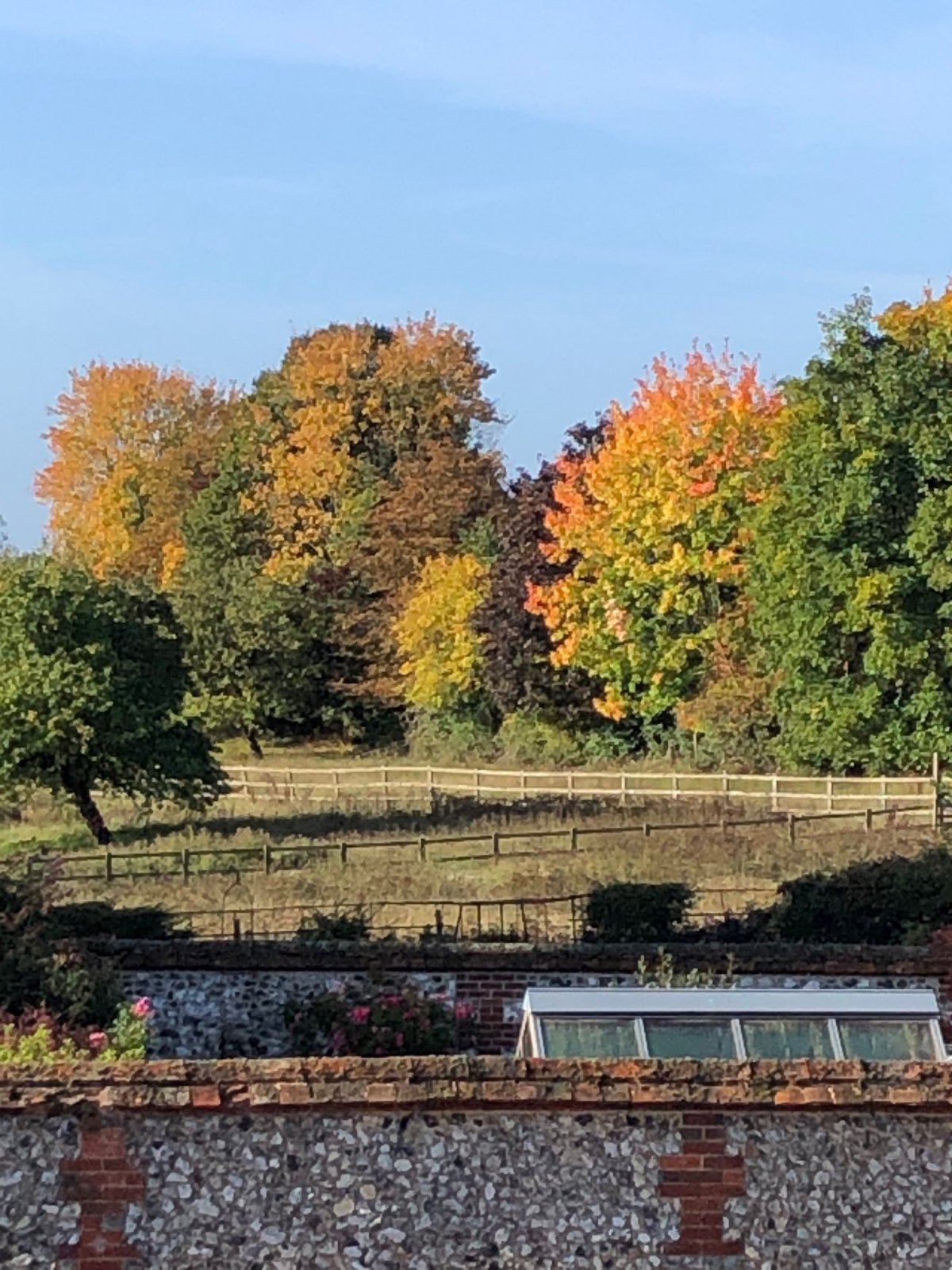 Autumn 23.jpg