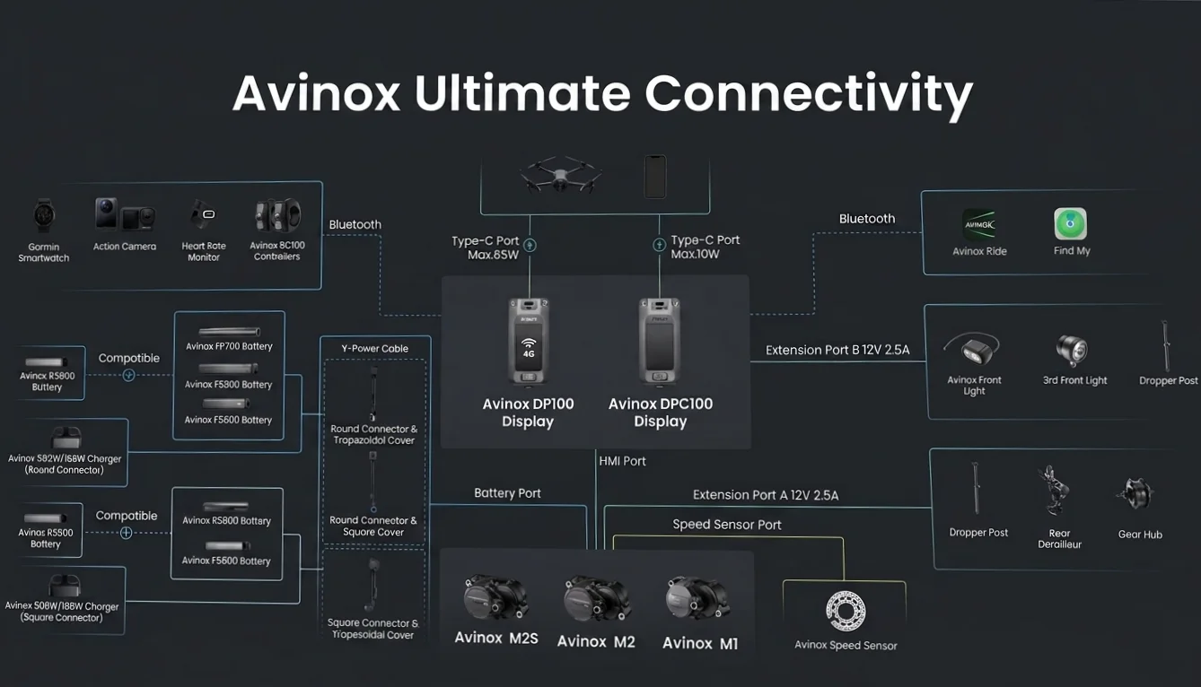 Avinox Ultimate Connectivity Chart.webp