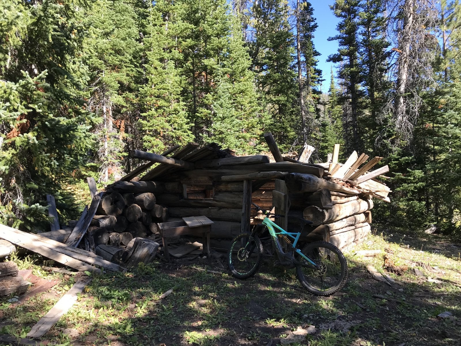 B09187A5-FA57-4010-8097-BD97C14FA59F.jpeg