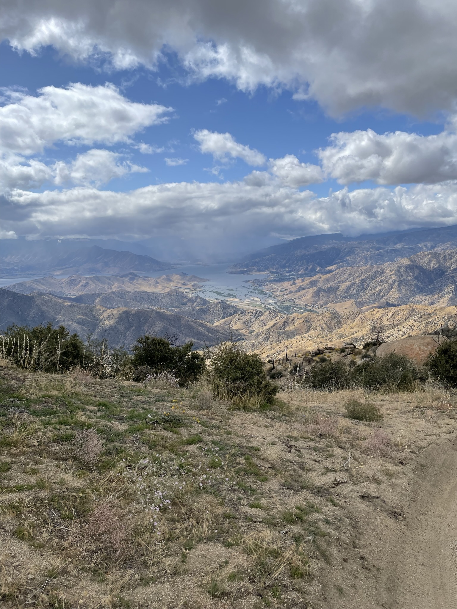 B1353545-30C5-467C-907E-28B2D7614DB6.jpeg