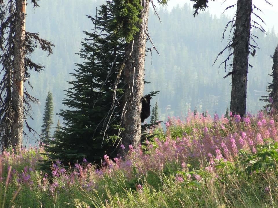 B37466FC-3274-4D11-952C-62915EB609B1.jpeg
