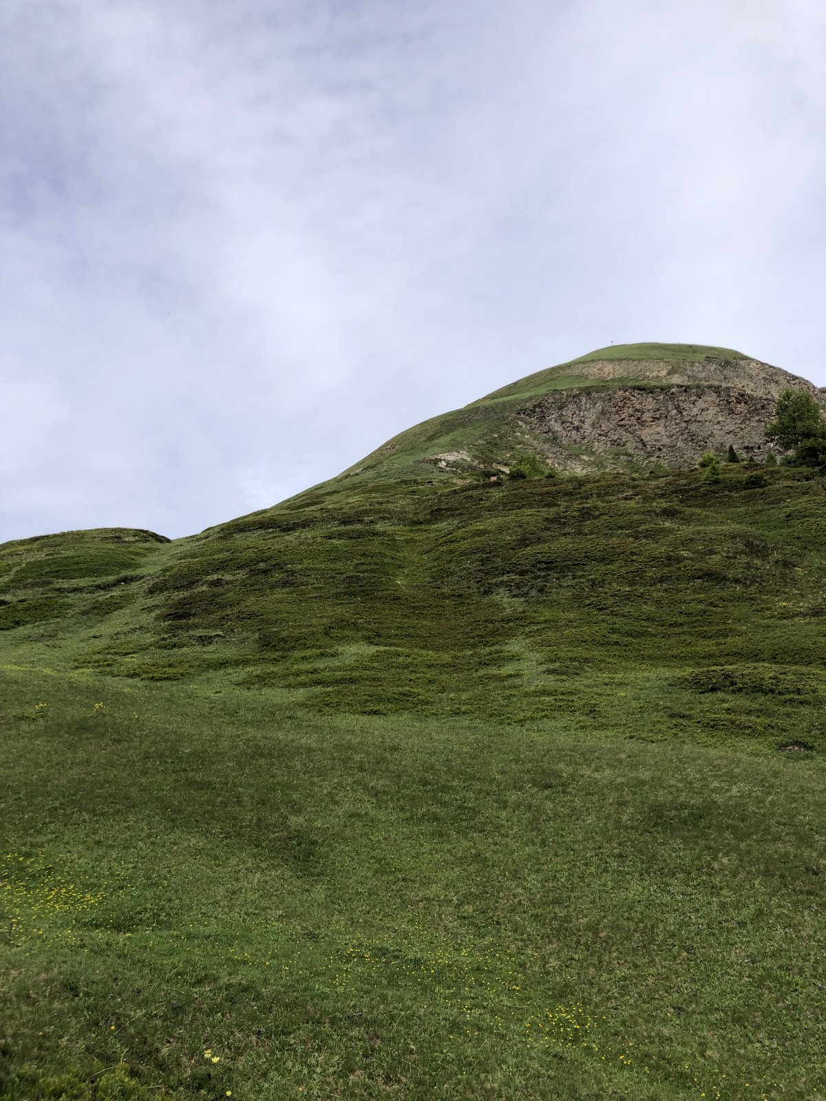 B760AB82-2E36-4327-8666-2D0741581899.jpeg