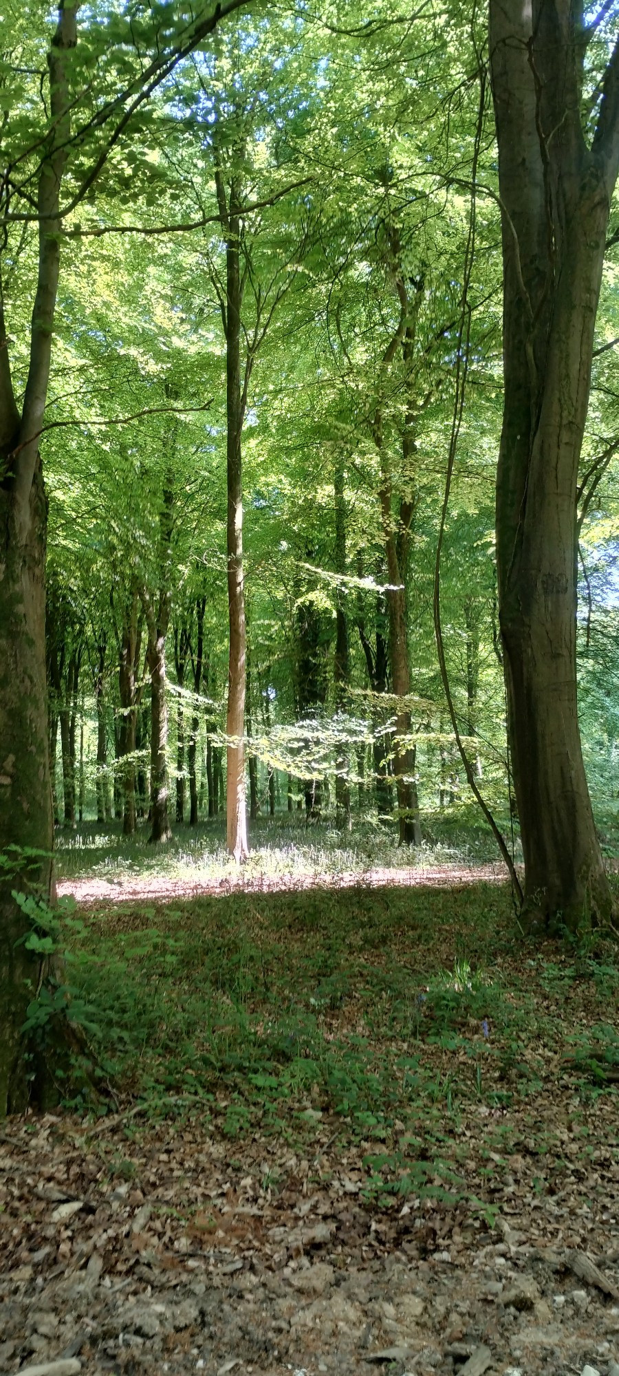 bafkreicvfqq63dyw4jmlpf7zmhsejqtyecwlzzl3hifv7ni4fcpgrcm2cm.jpg