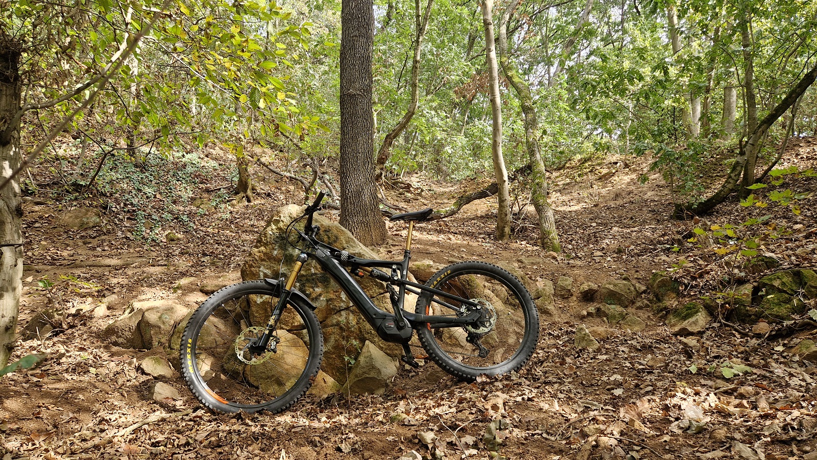 beatuful_bike.jpg
