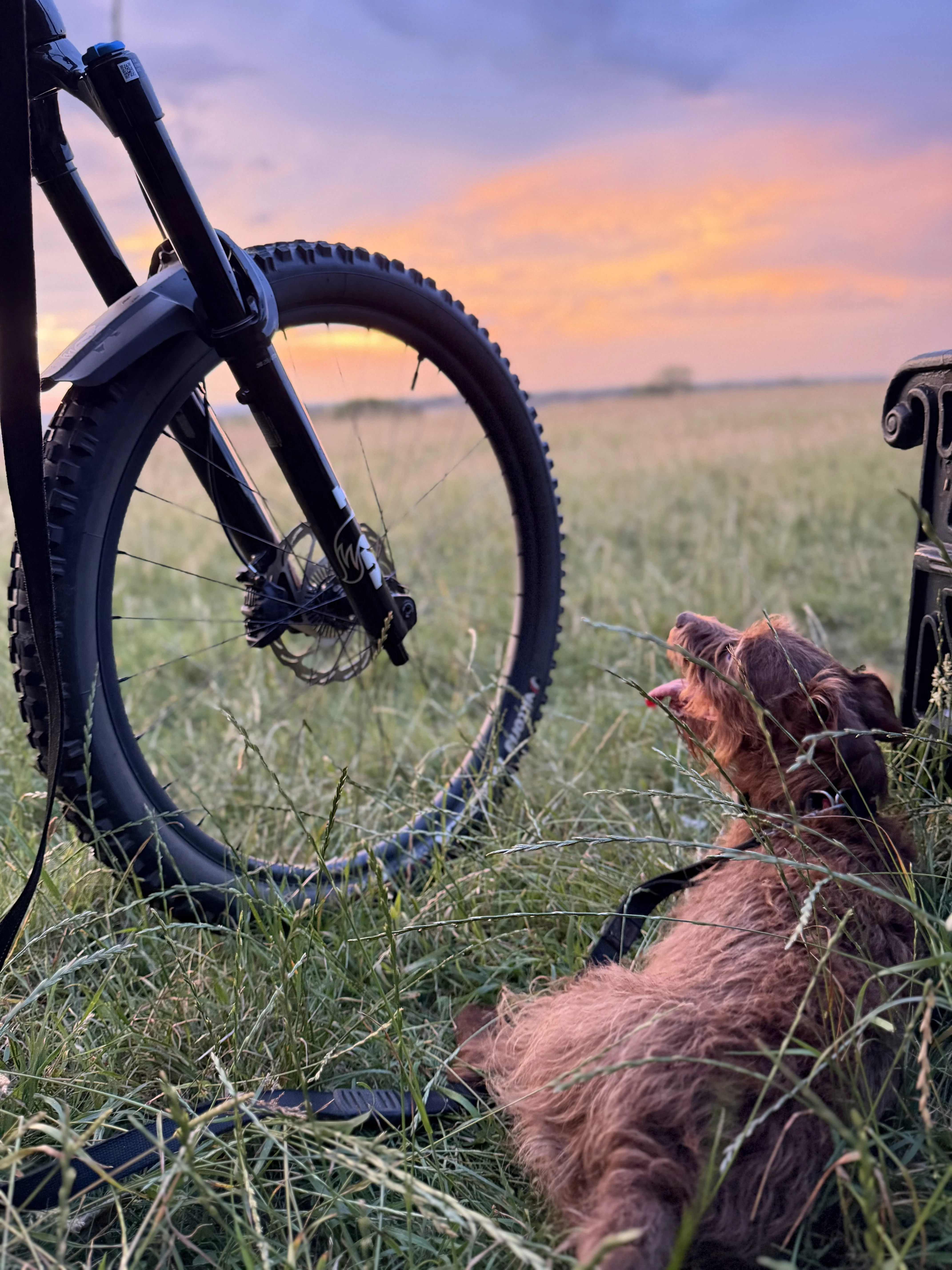 Beck Sunset.webp