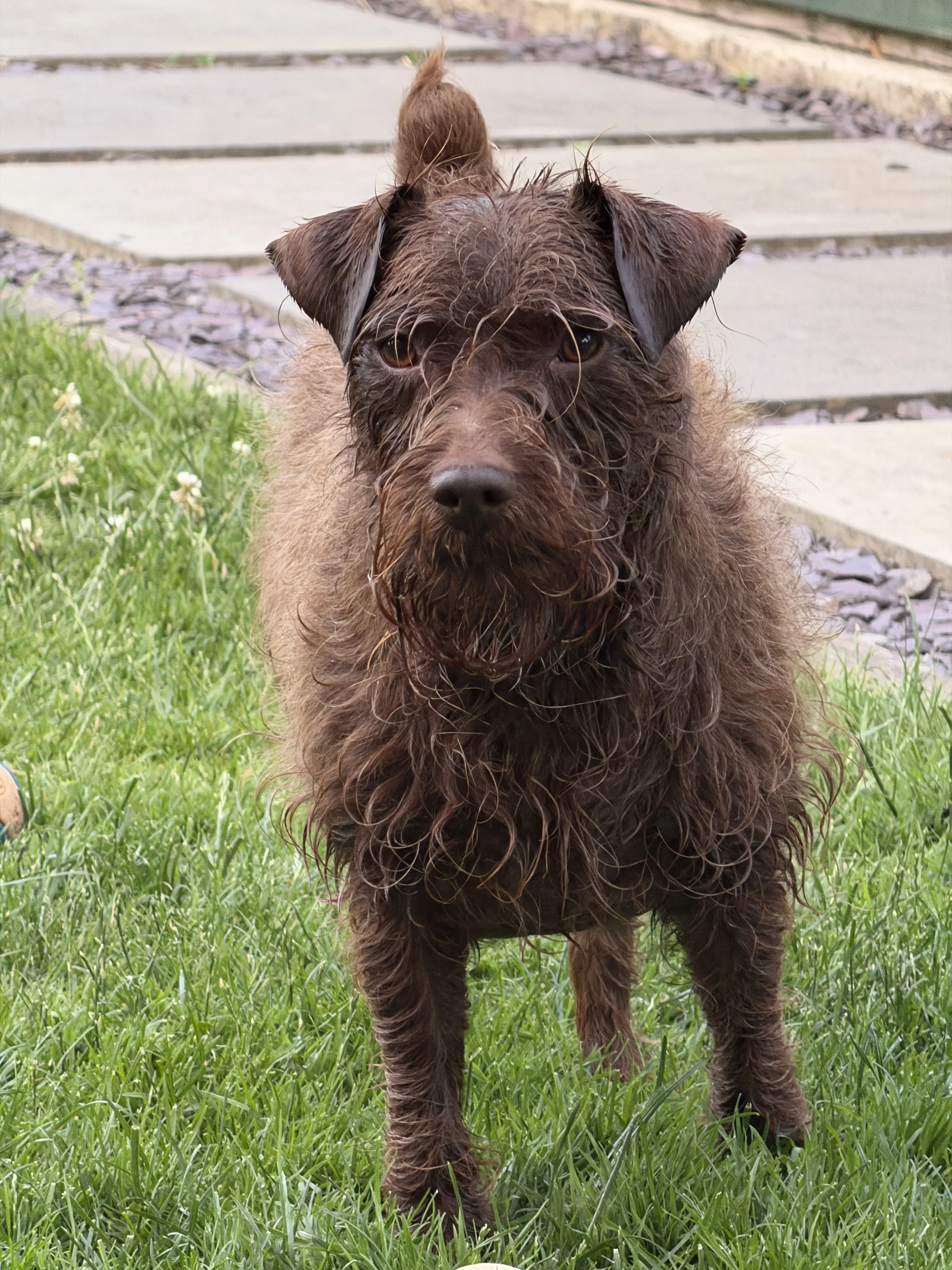 Beck Wet.webp