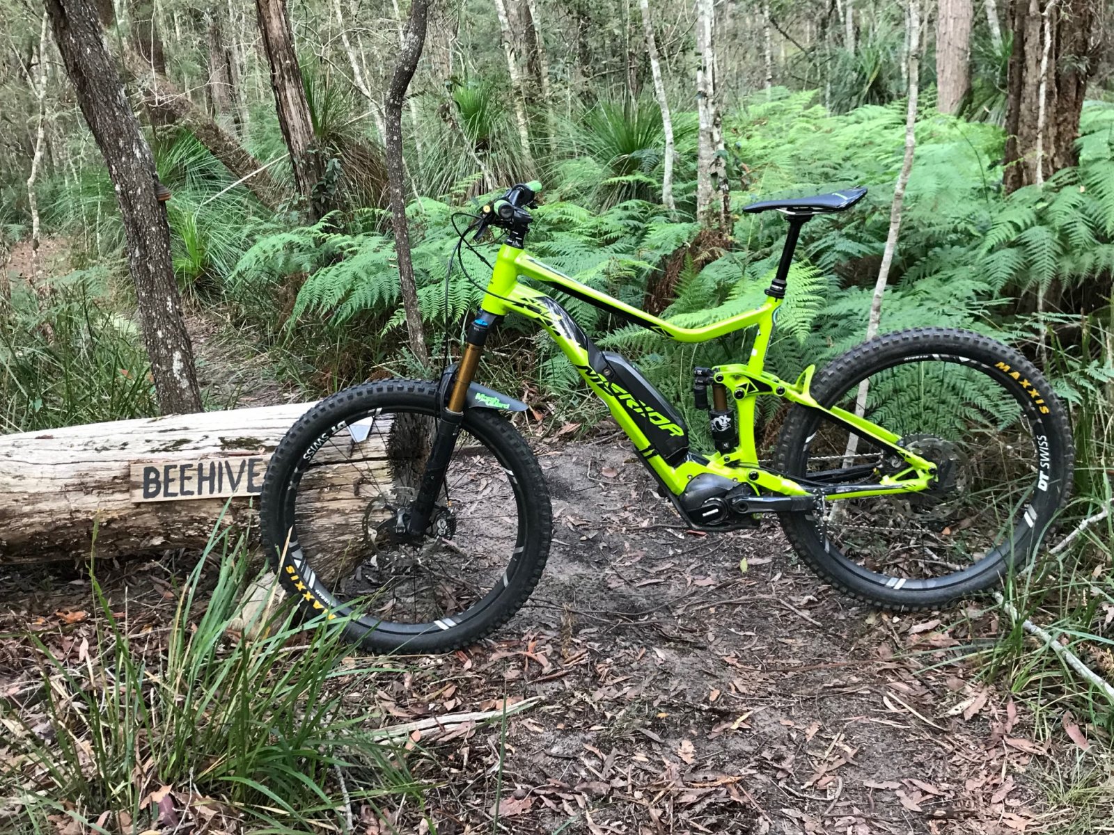 Bike 3.jpg