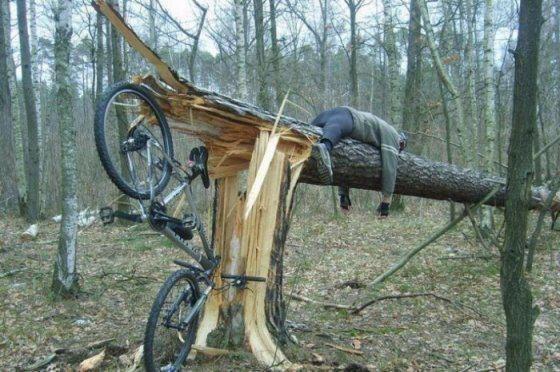 bike crash into tree.jpg
