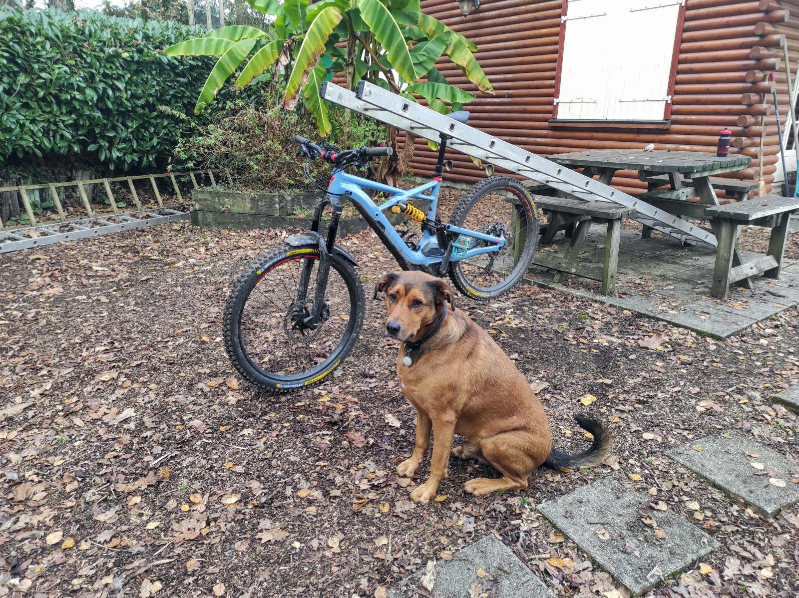 Bike Stand.jpg