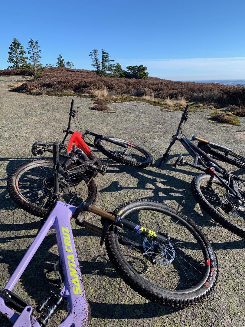 Bikes.jpg