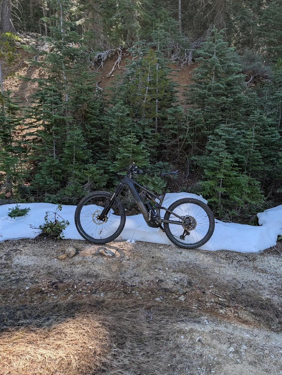 bikesnow.webp