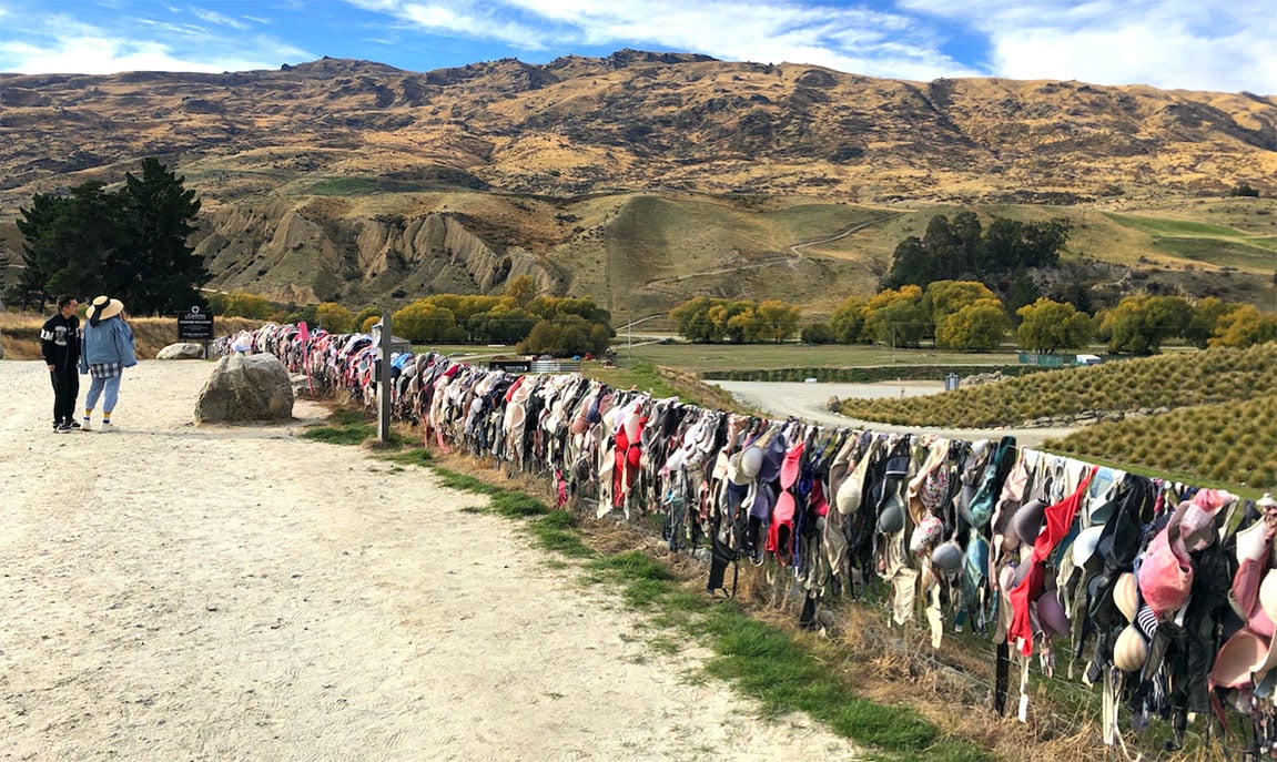 Bra Fence.jpg