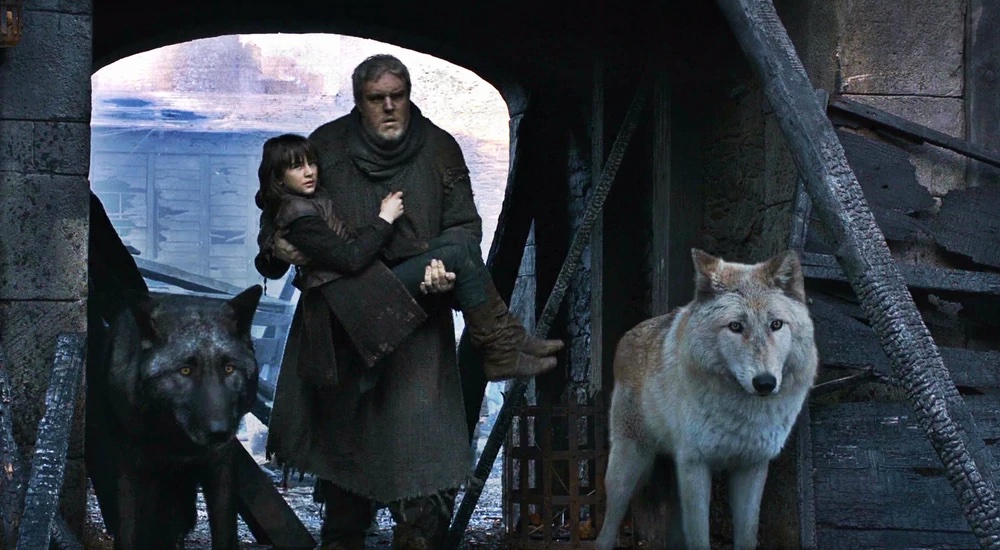 Bran.jpeg