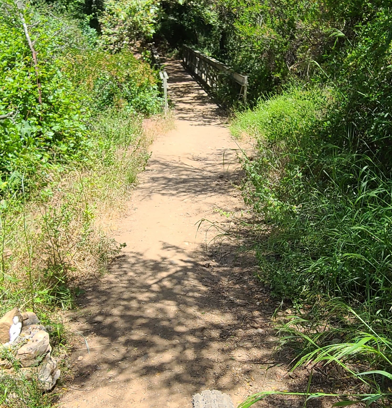 Bridge 1.jpg