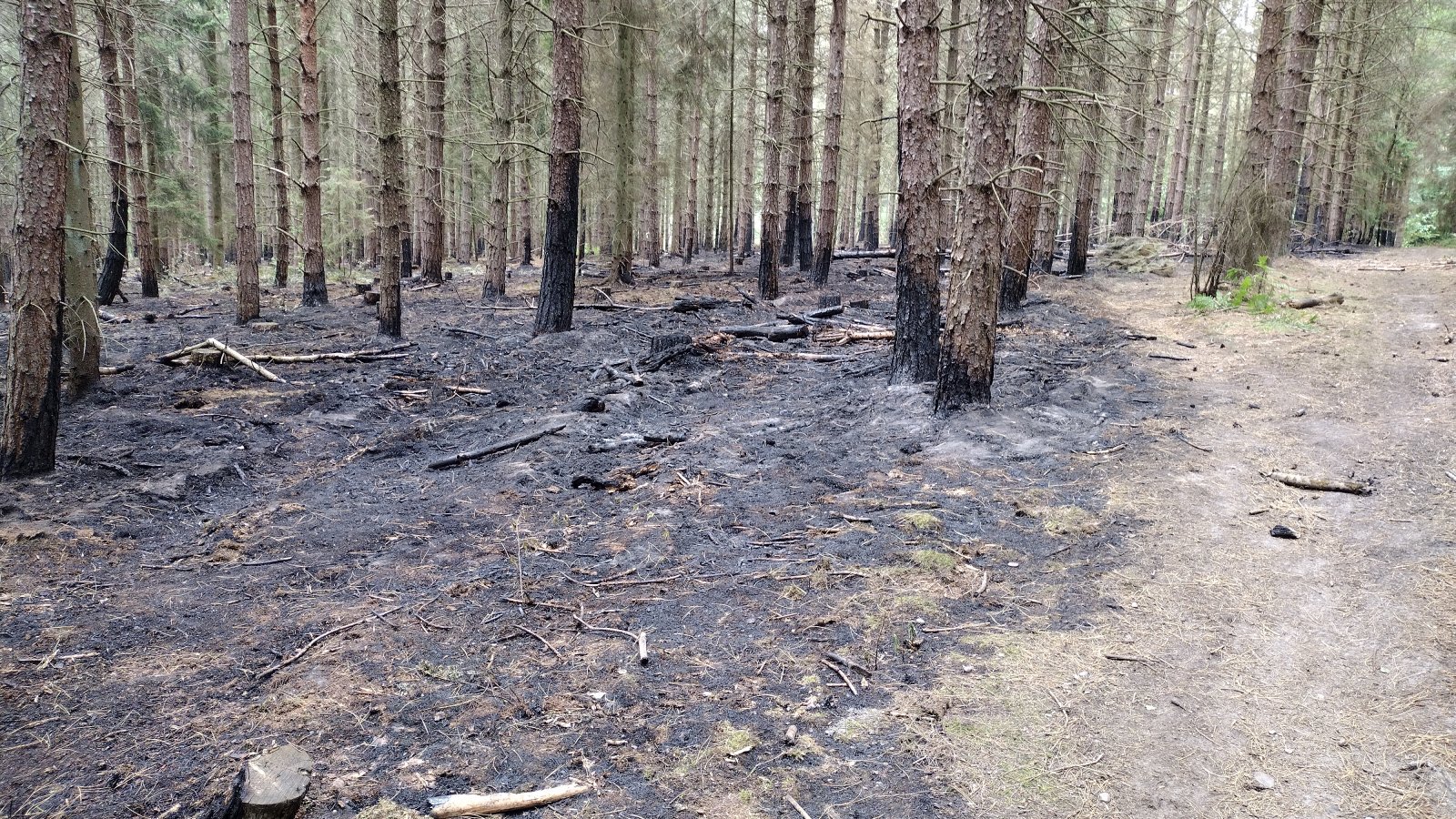 Burned emtb.jpg