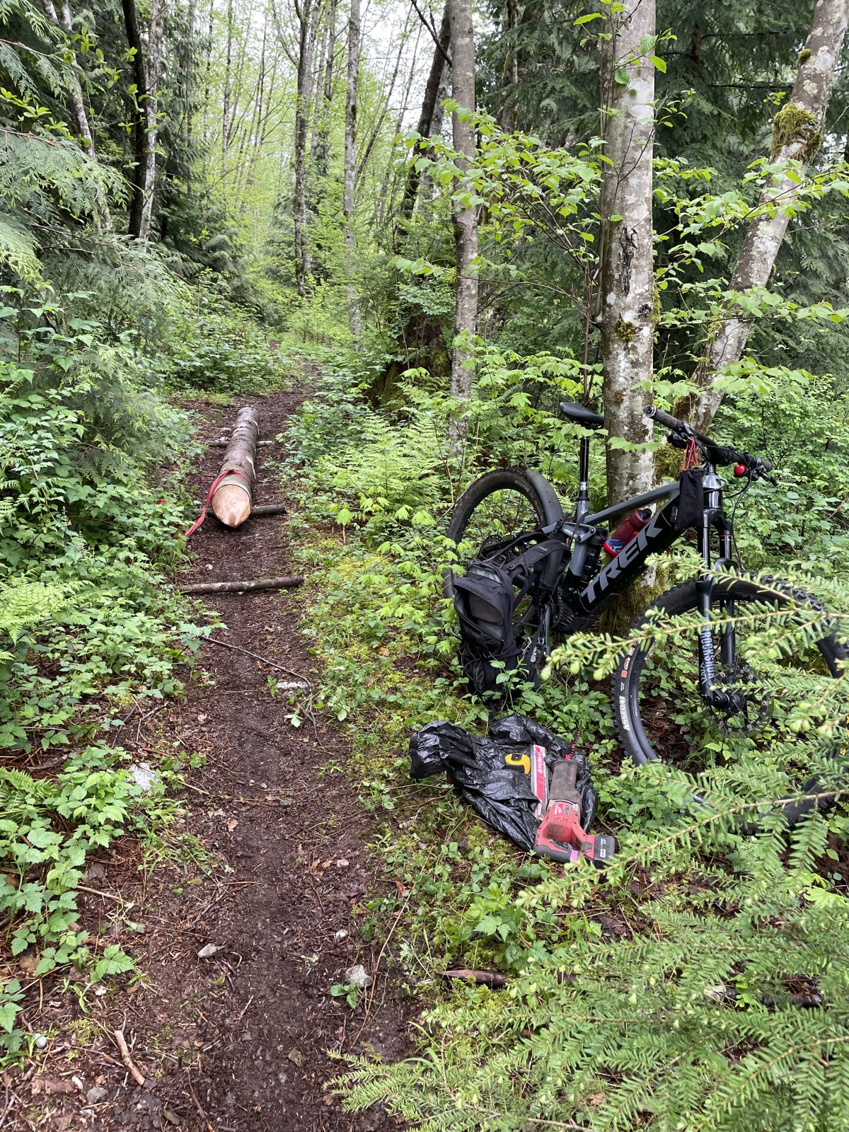 C129235C-9D5D-4BD2-B250-7489661E65F7.jpeg