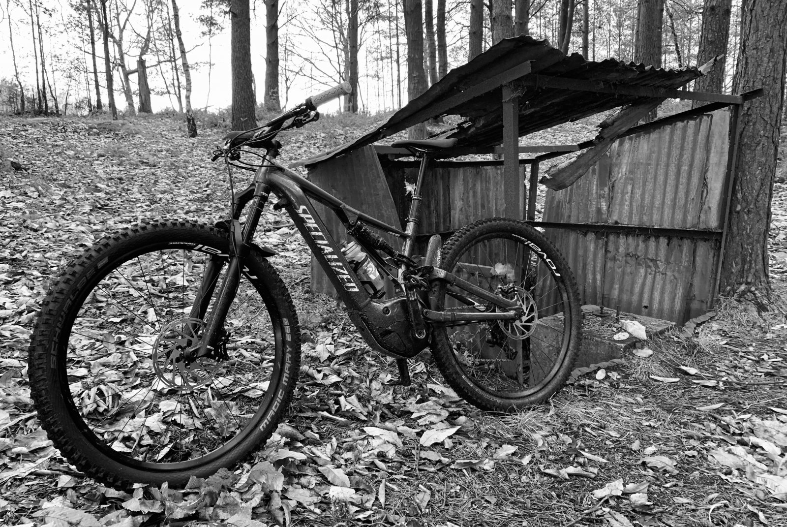 C24E6000-FDEC-4E13-975E-B3F171287092.jpeg
