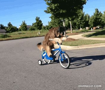 C574BB4E-C0E4-496B-9C89-CD47C2418EF0.gif