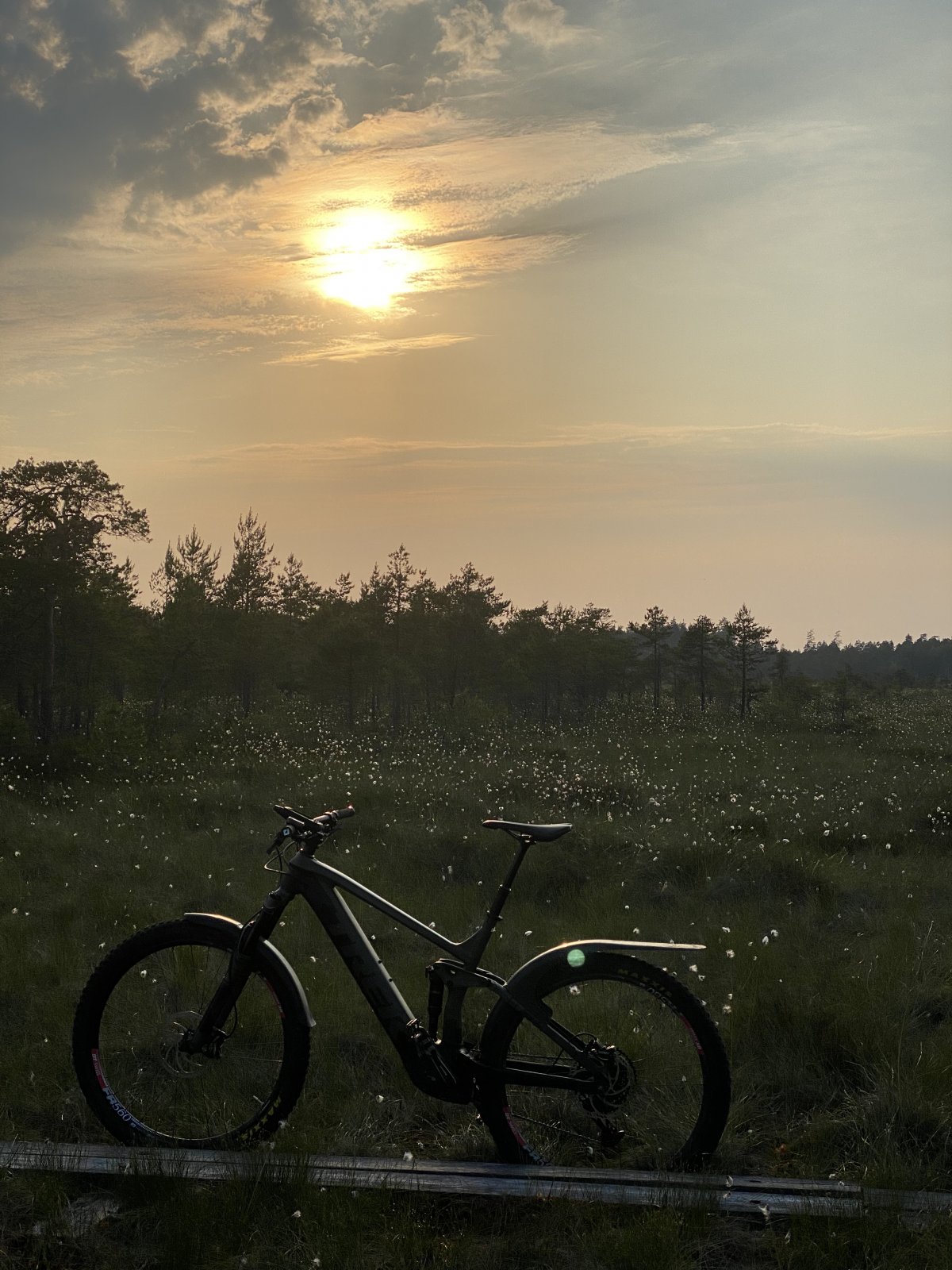 C751D43E-450B-4BF2-B312-59869F183426.jpeg