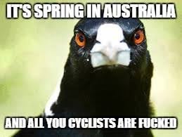 CA78DF8D-419F-4AFB-A9F0-BBEDB57AF9FD.jpeg
