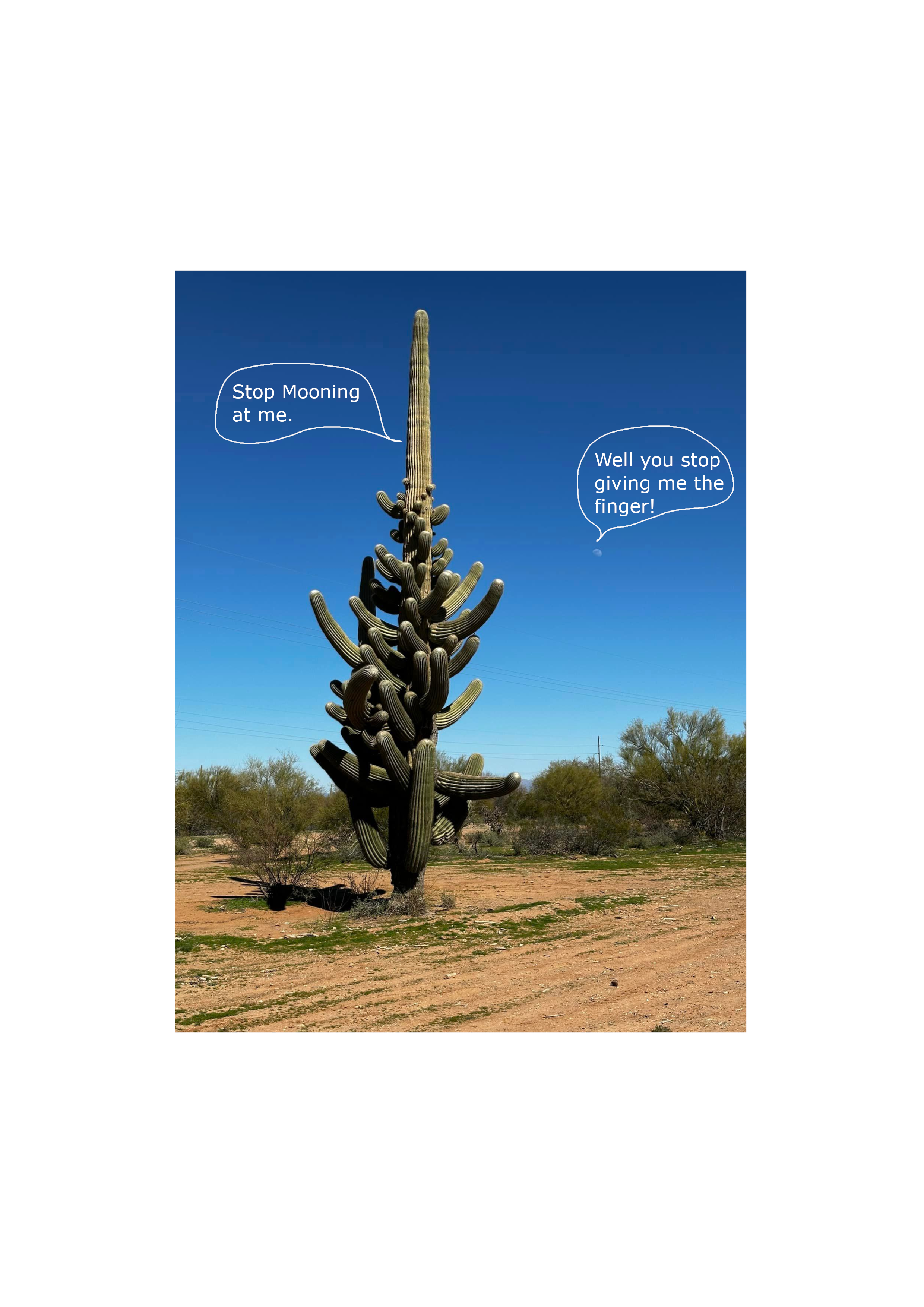Cactus Moon.png