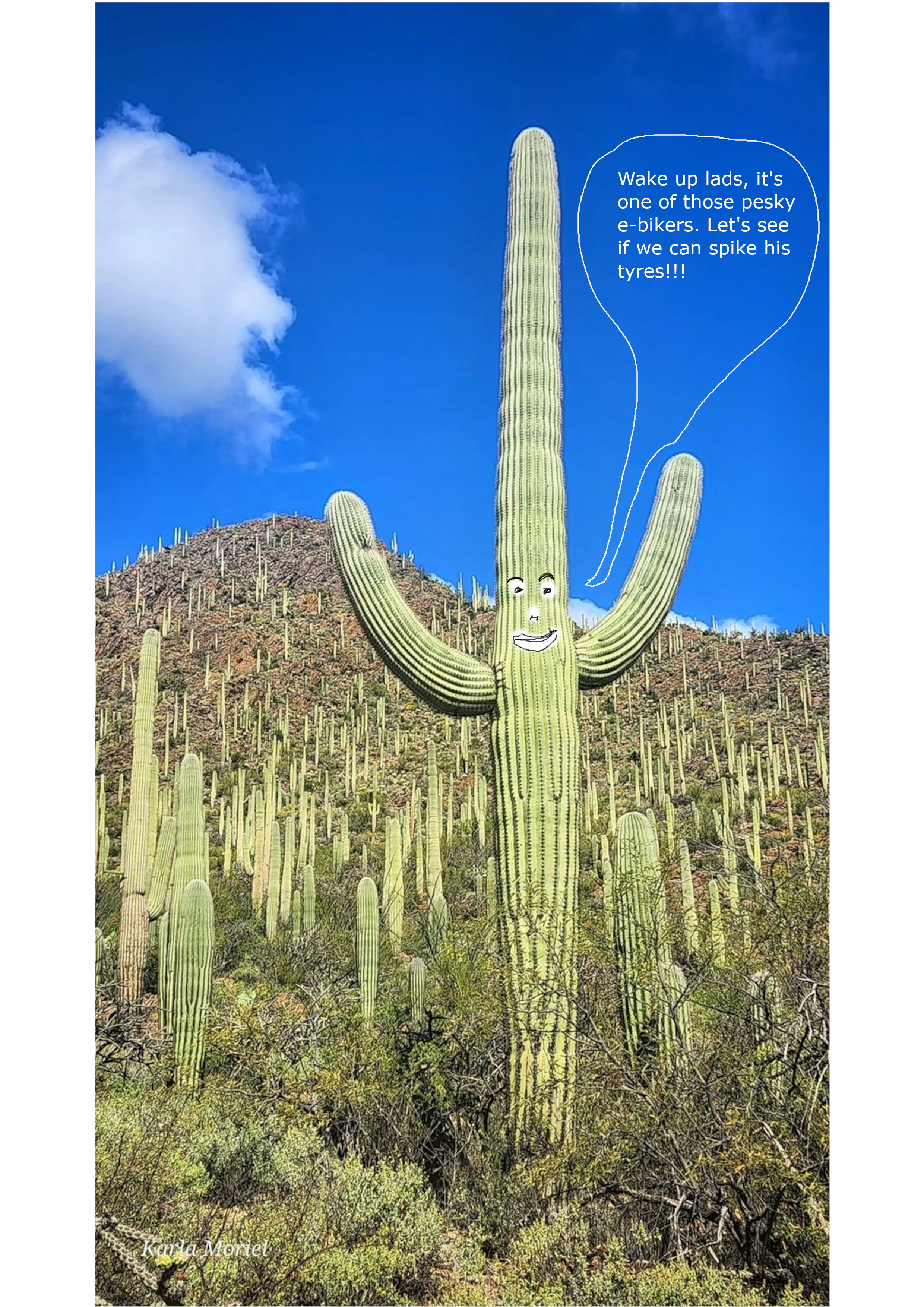 Cactus.png