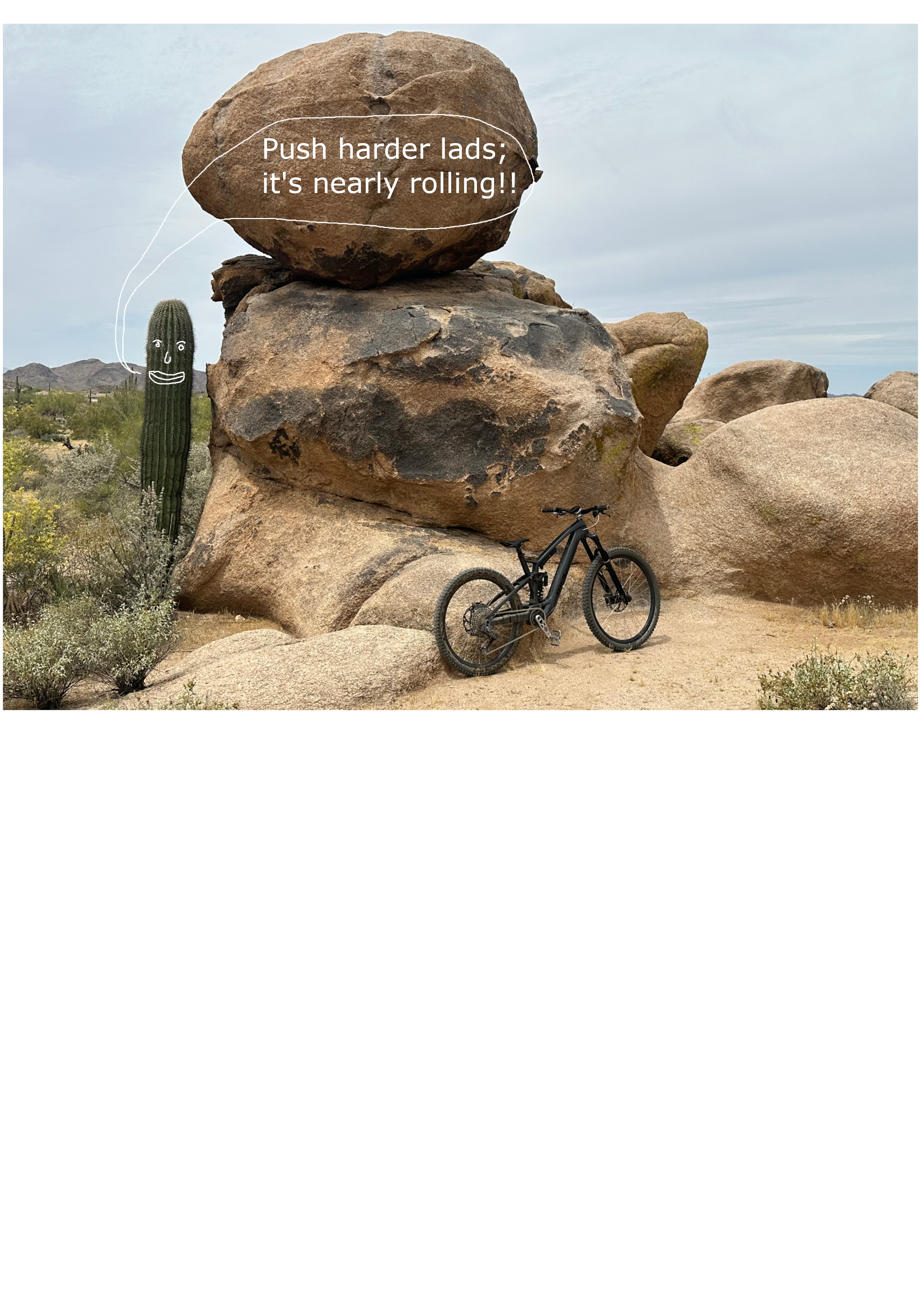 Cactus Rock.png