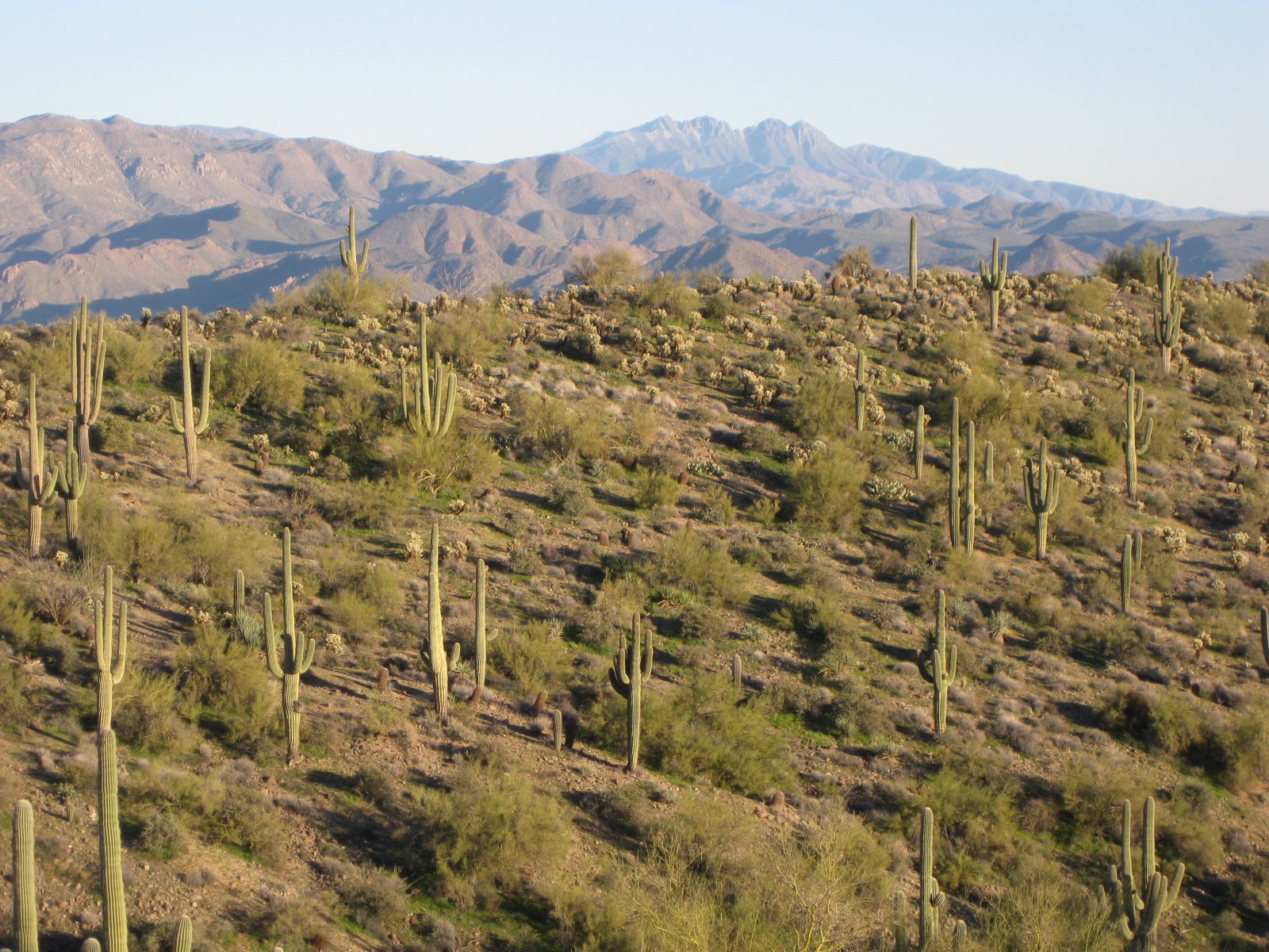 Camp Creek Trail 404 1-17-12 013.jpg
