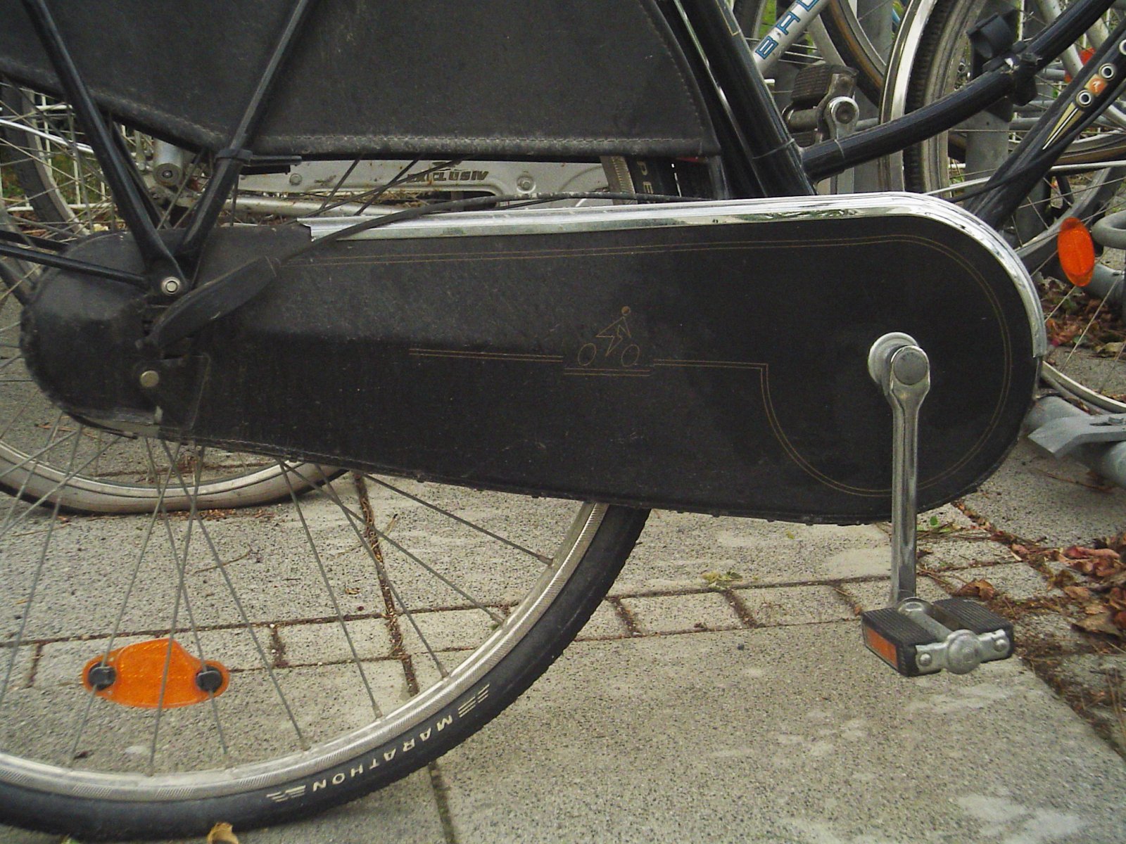 chain guard.jpeg