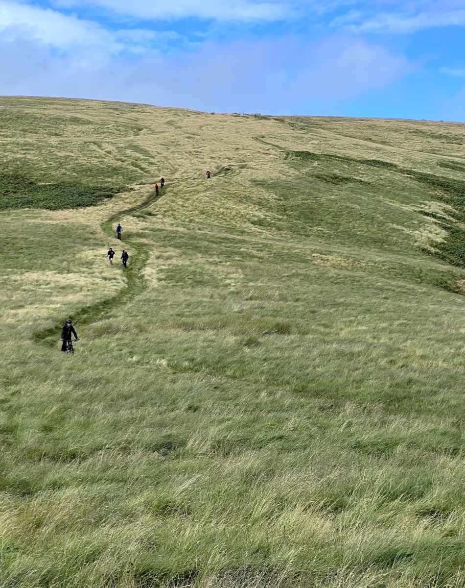 Cheviots Group 03.jpg