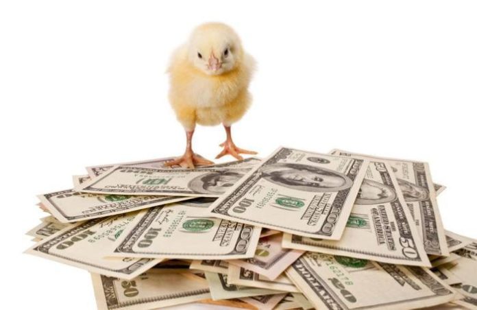 chick-on-money.jpg
