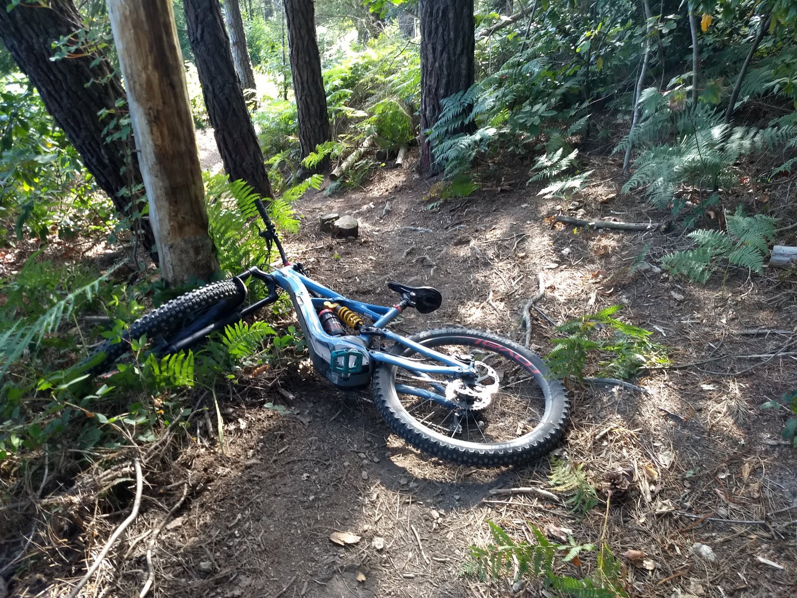 chute.jpg