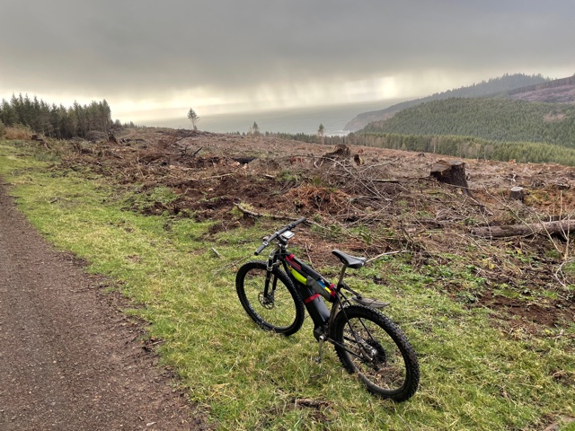 Clear cut view.jpg