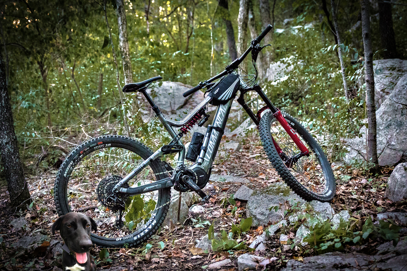 Commencal Meta SX.jpg