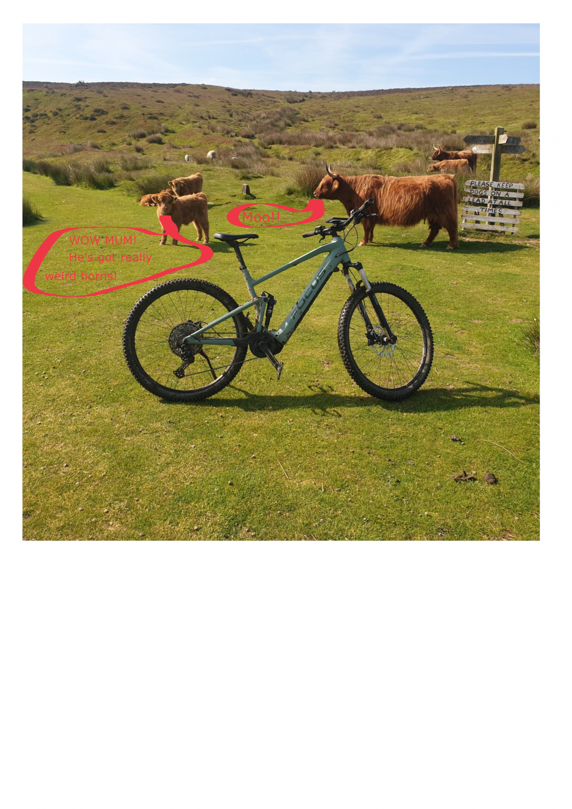 cow bike 2.png
