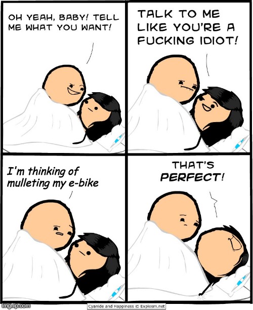 cyanide - mullet ebike.jpeg